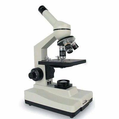 compound light microscope
