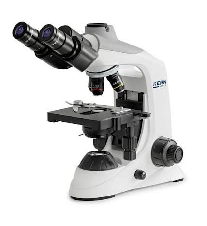 light microscope