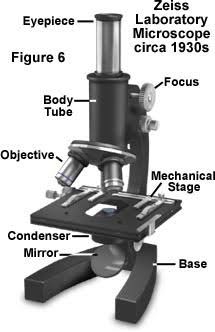 microscope parts