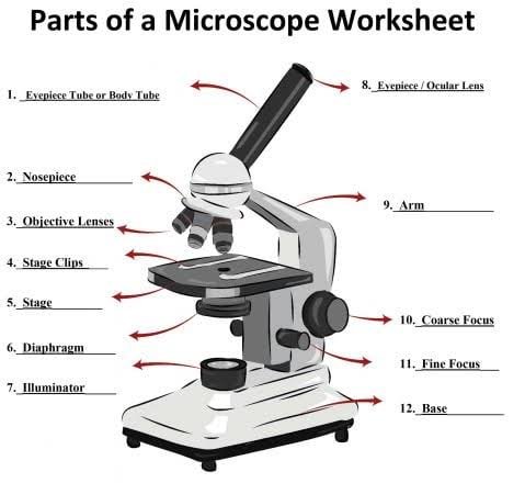 parts of the microscope