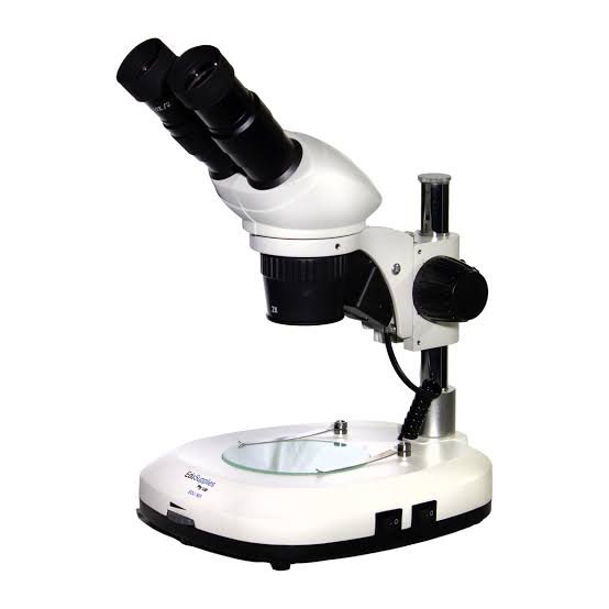 dissecting microscope