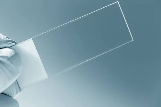 microscope slide