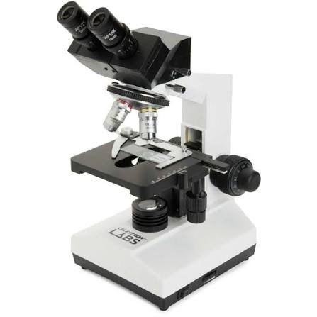 compound light microscope