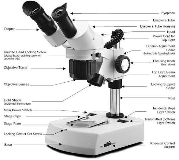 parts of the microscope