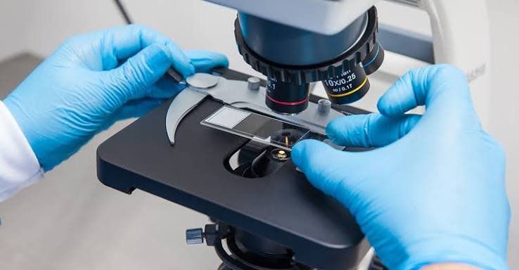 microscope slide