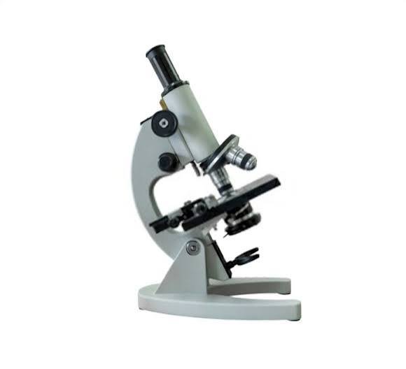 light microscope