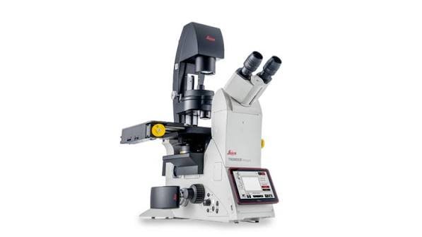 compound light microscope