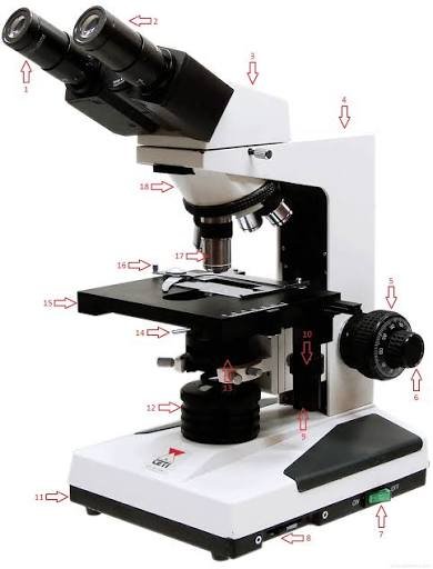 parts of the microscope