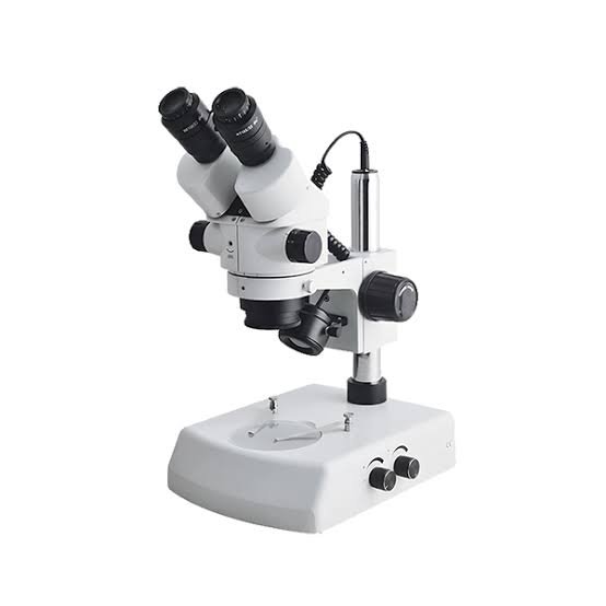 dissecting microscope