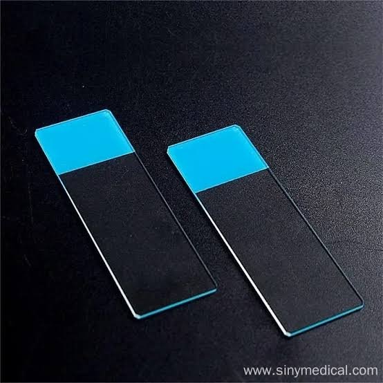 microscope slide