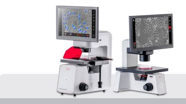 compound microscope