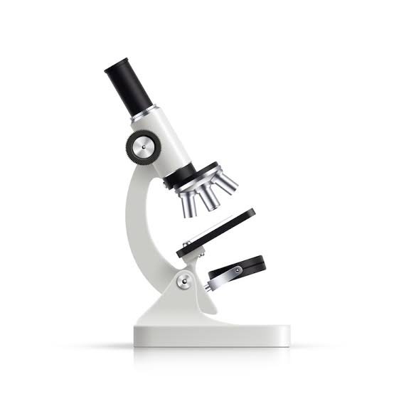 compound light microscope