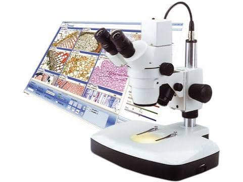 compound microscope