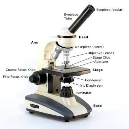 microscope parts