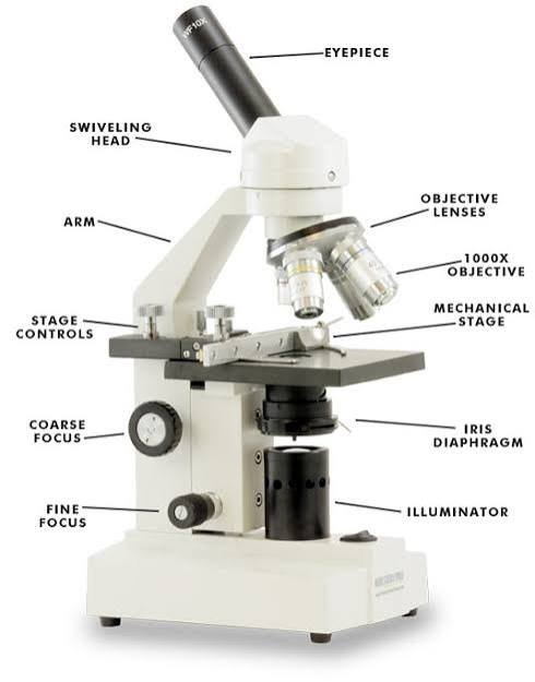 microscope parts