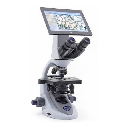 compound microscope