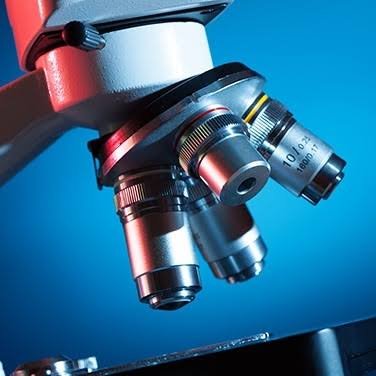 phase contrast microscopy