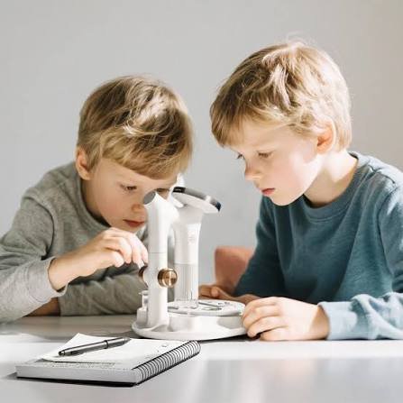 microscope for kindergarteners