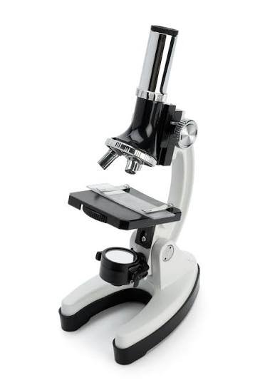microscope for kindergarteners
