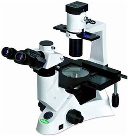 phase contrast microscope