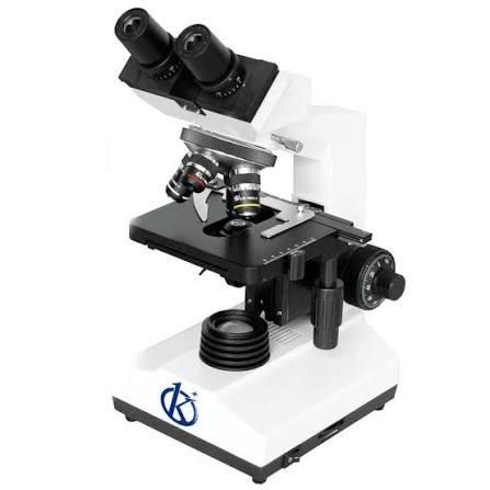 phase contrast microscope