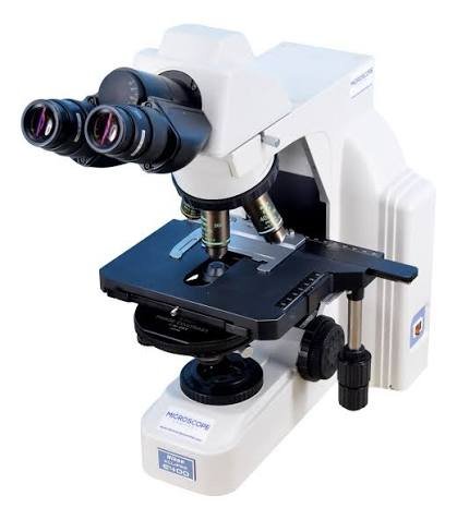 phase contrast microscopy