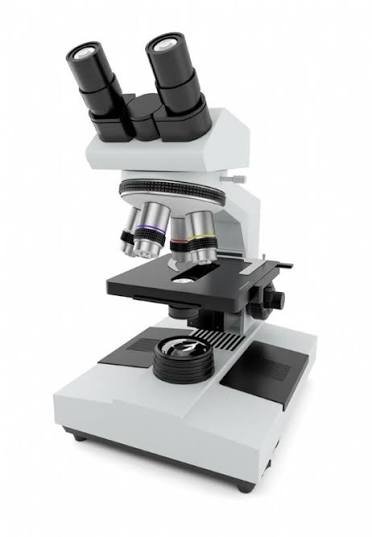 optical microscopes