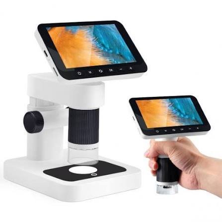 microscope of kindergarteners