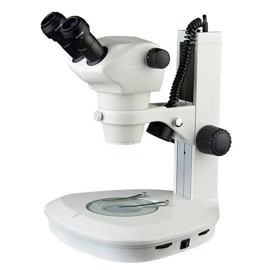phase contrast microscope