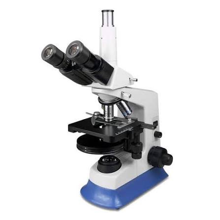 phase contrast microscopy