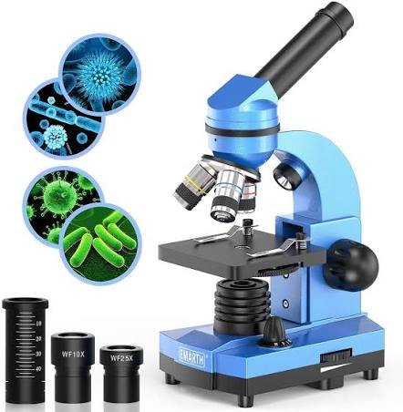 microscope for kindergarteners