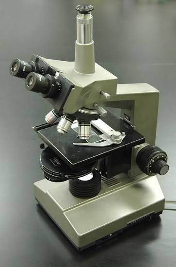 phase contrast microscope
